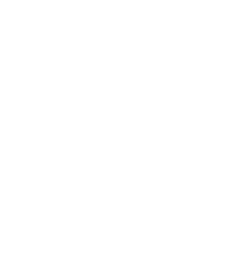 Services Puzzle Diagram